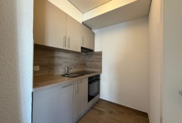 1 Rooms Wohnung