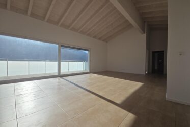 Magnifique appartement 3.5 en attique à Vex !