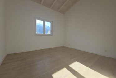 Magnifique appartement 3.5 en attique à Vex !